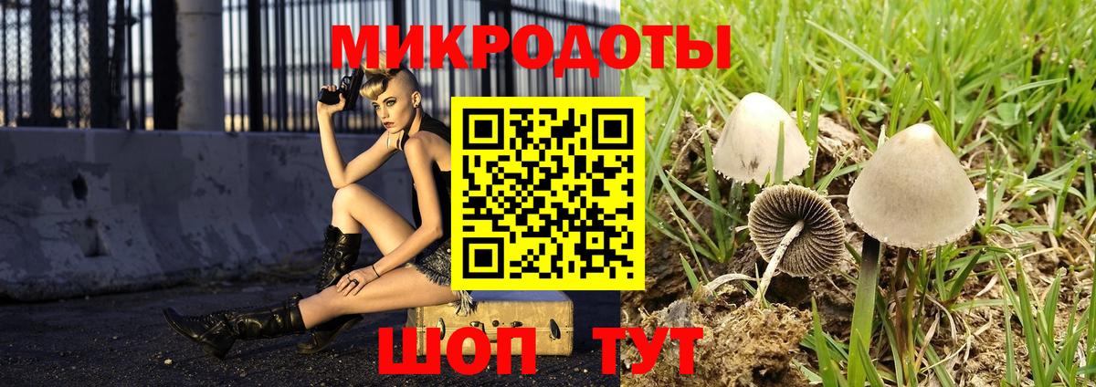 Псилоцибиновые грибы Cubensis Шелехов